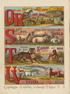 Thumbnail 0012 of The ABC of animals [State 1]