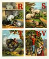 Thumbnail 0018 of Alphabet of country scenes