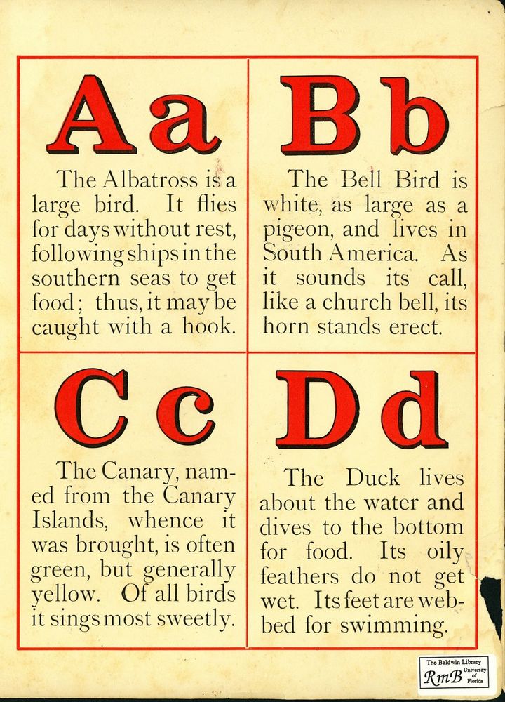 Scan 0002 of Alphabet of birds