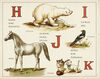 Thumbnail 0007 of An animal alphabet
