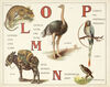 Thumbnail 0010 of An animal alphabet