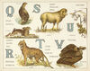 Thumbnail 0012 of An animal alphabet