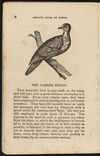 Thumbnail 0010 of The aviary, or, Child