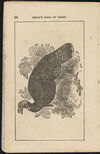 Thumbnail 0012 of The aviary, or, Child