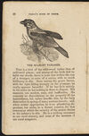 Thumbnail 0014 of The aviary, or, Child