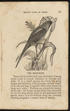 Thumbnail 0015 of The aviary, or, Child