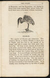 Thumbnail 0023 of The aviary