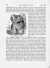 Thumbnail 0173 of Biblical history in the words of Holy Scripture