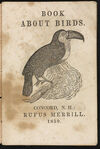 Thumbnail 0003 of Book about birds