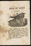 Thumbnail 0005 of Book about birds