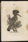 Thumbnail 0012 of Book about birds