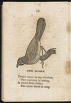 Thumbnail 0014 of Book about birds