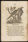 Thumbnail 0018 of Book about birds