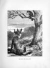 Thumbnail 0069 of Favourite fables