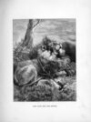Thumbnail 0149 of Favourite fables