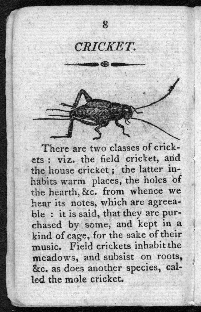 Scan 0010 of The history of insects