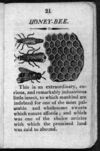 Thumbnail 0023 of The history of insects