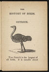 Thumbnail 0005 of The history of birds