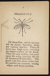 Thumbnail 0011 of The history of insects