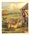Thumbnail 0006 of Lost lamb