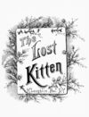 Thumbnail 0003 of Lost kitten