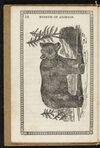 Thumbnail 0018 of Museum of foreign animals, or, History of beasts