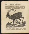 Thumbnail 0010 of Natural history of animals