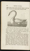 Thumbnail 0012 of The natural history of birds