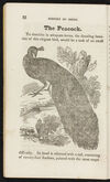 Thumbnail 0014 of The natural history of birds