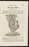 Thumbnail 0023 of The natural history of birds