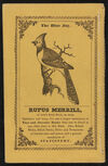 Thumbnail 0028 of The natural history of birds