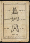 Thumbnail 0015 of A new hieroglyphical bible