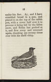 Thumbnail 0013 of Robin Redbreast