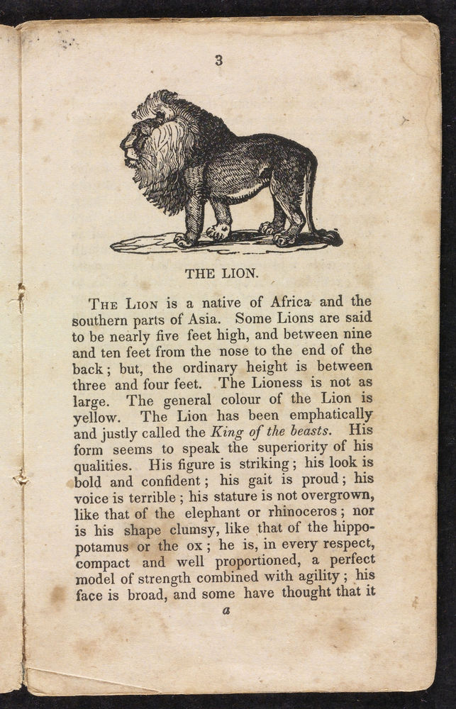 Scan 0005 of Stories about the lion, elephant, dromedary, tiger, panther, leopard, ounce, cougar, and jaguar