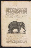 Thumbnail 0008 of Stories about the lion, elephant, dromedary, tiger, panther, leopard, ounce, cougar, and jaguar