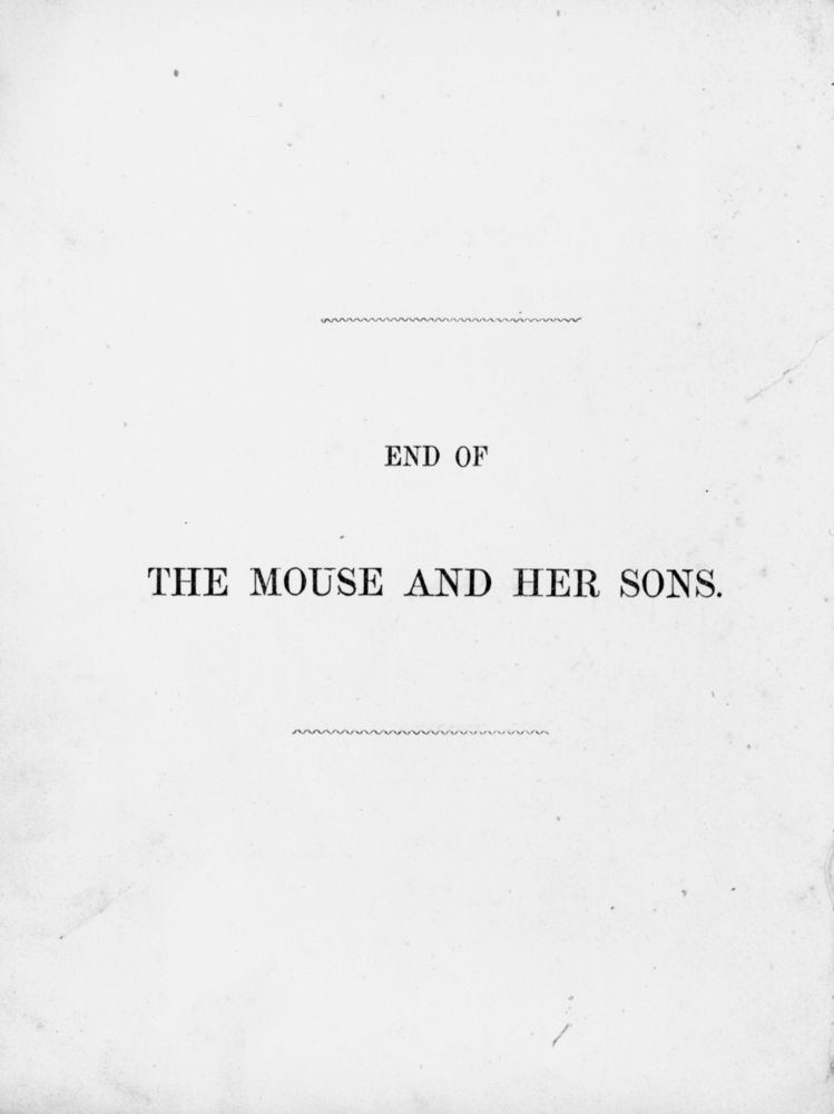 Scan 0029 of Surprising stories about the mouse and her sons, and the funny pigs
