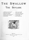 Thumbnail 0004 of The swallow and the skylark