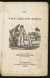 Thumbnail 0005 of The two yellow birds