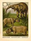 Thumbnail 0006 of The zoological gardens