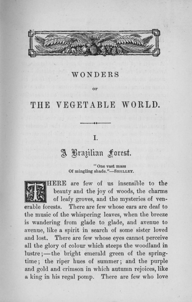 Scan 0010 of Wonders of the vegetable world