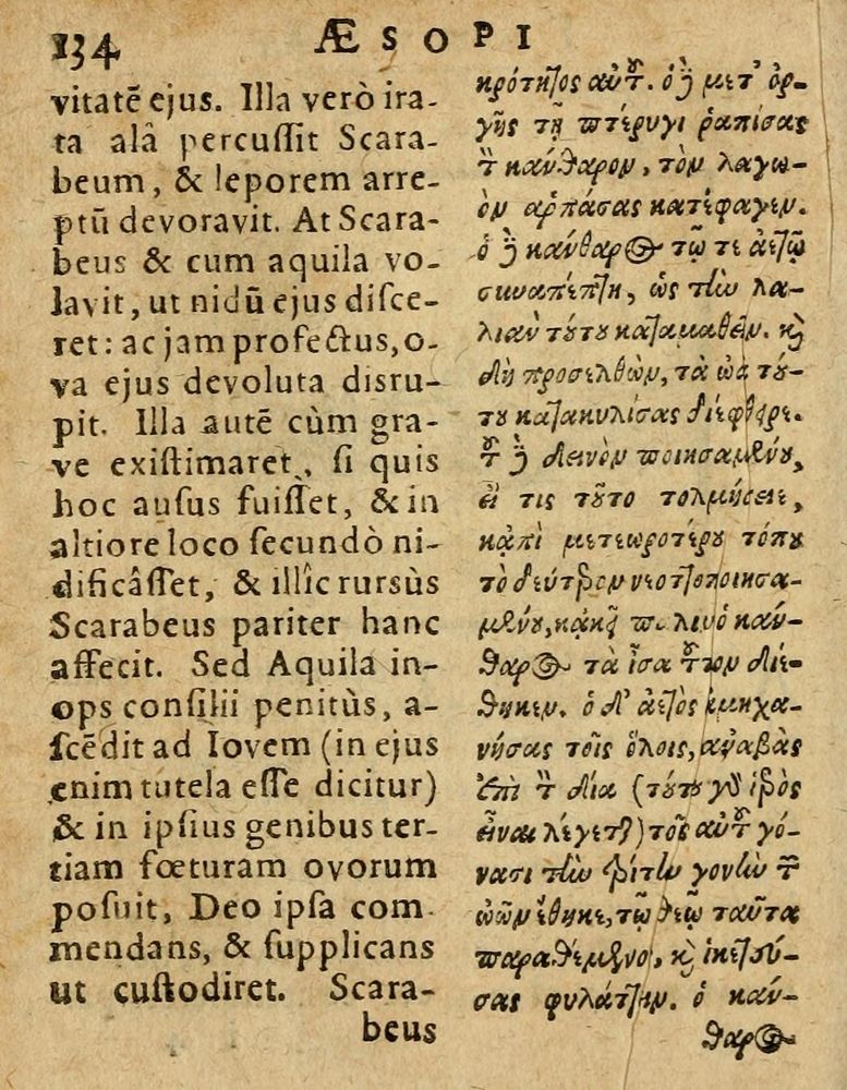 Scan 0140 of Æsopi Phrygis Fabulae graece et latine, cum aliis quibusdam opusculis