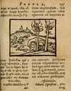 Thumbnail 0143 of Æsopi Phrygis Fabulae graece et latine, cum aliis quibusdam opusculis