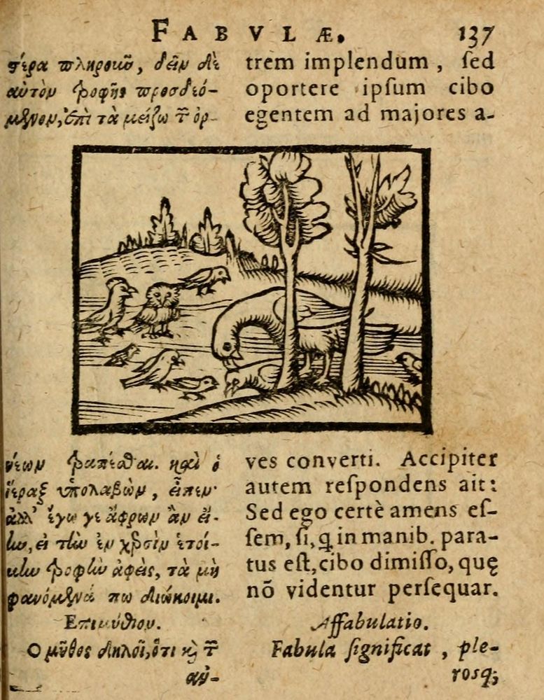 Scan 0143 of Æsopi Phrygis Fabulae graece et latine, cum aliis quibusdam opusculis