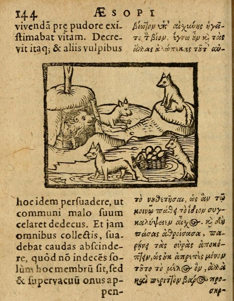 Scan 0150 of Æsopi Phrygis Fabulae graece et latine, cum aliis quibusdam opusculis
