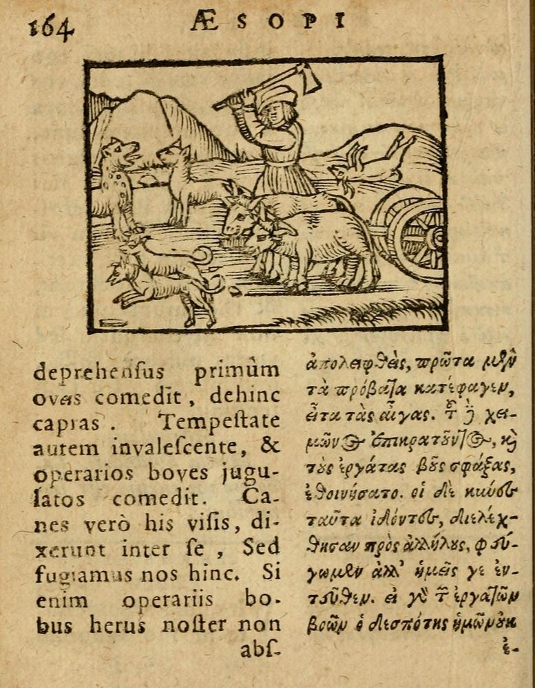 Scan 0170 of Æsopi Phrygis Fabulae graece et latine, cum aliis quibusdam opusculis