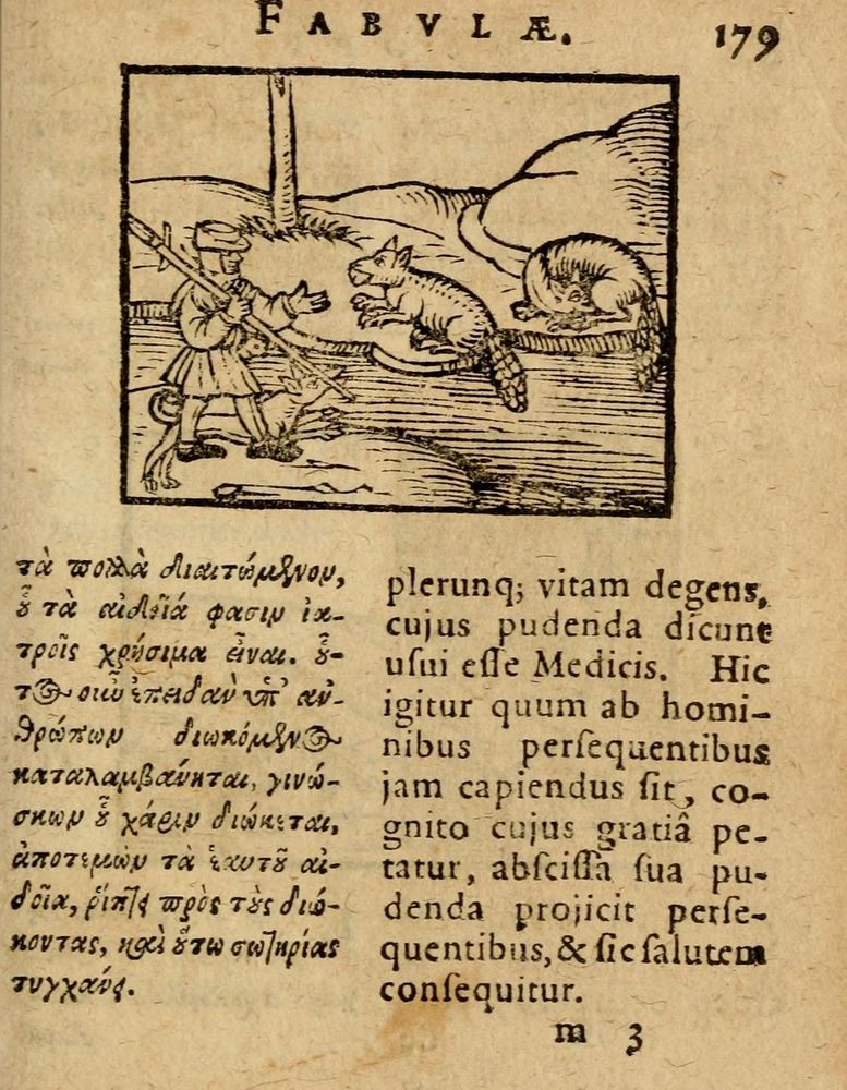 Scan 0185 of Æsopi Phrygis Fabulae graece et latine, cum aliis quibusdam opusculis