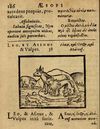 Thumbnail 0192 of Æsopi Phrygis Fabulae graece et latine, cum aliis quibusdam opusculis