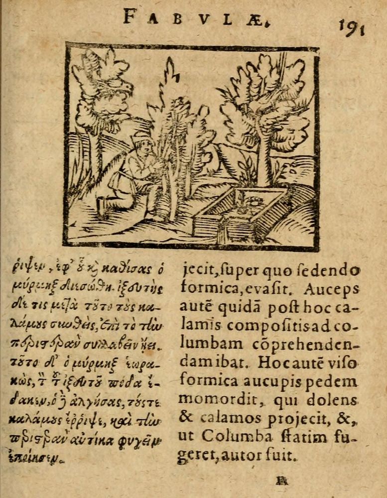 Scan 0197 of Æsopi Phrygis Fabulae graece et latine, cum aliis quibusdam opusculis