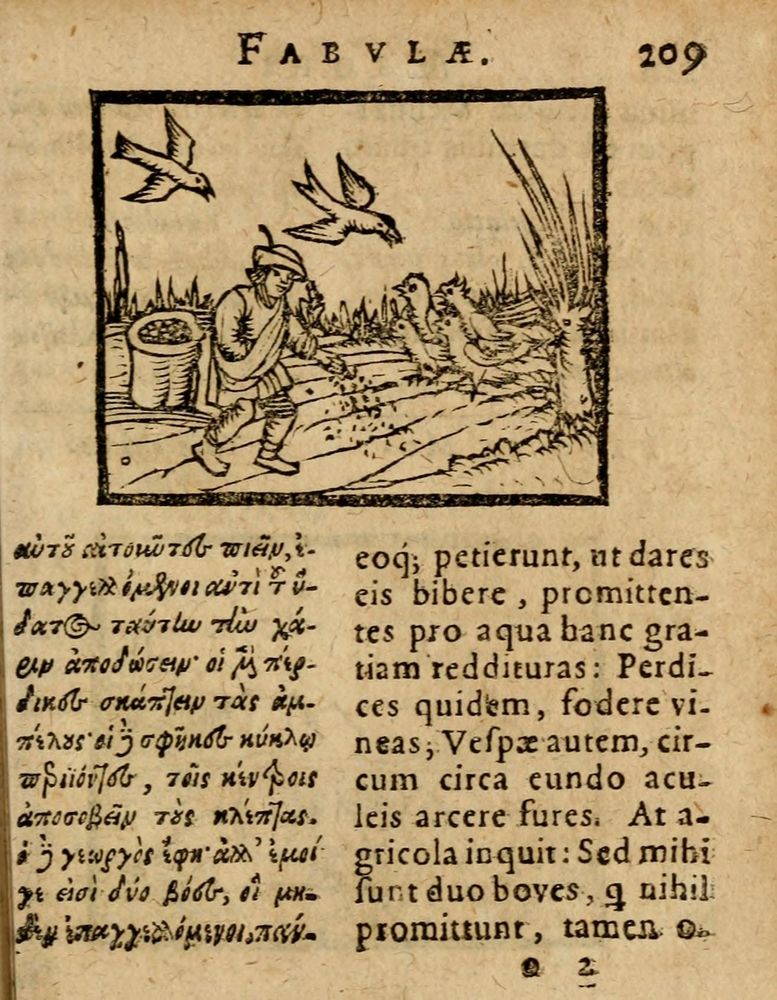 Scan 0215 of Æsopi Phrygis Fabulae graece et latine, cum aliis quibusdam opusculis
