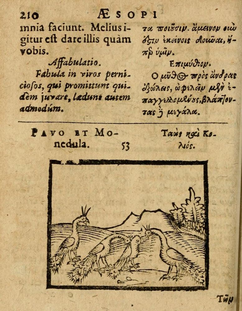 Scan 0216 of Æsopi Phrygis Fabulae graece et latine, cum aliis quibusdam opusculis